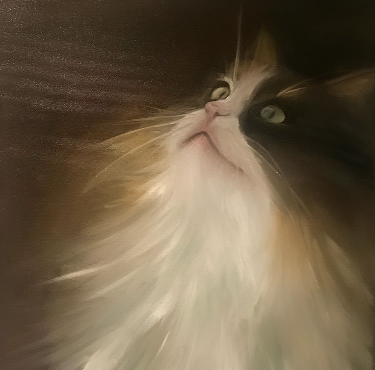 "Pus"